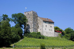 Habsburg Castle