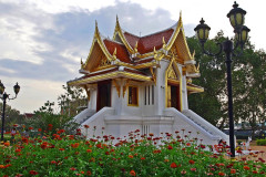 Krabi Krabi