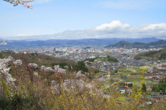 Fukushima Fukushima