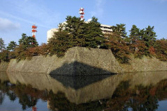 Fukui Fukui