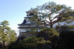 Kochi Kochi